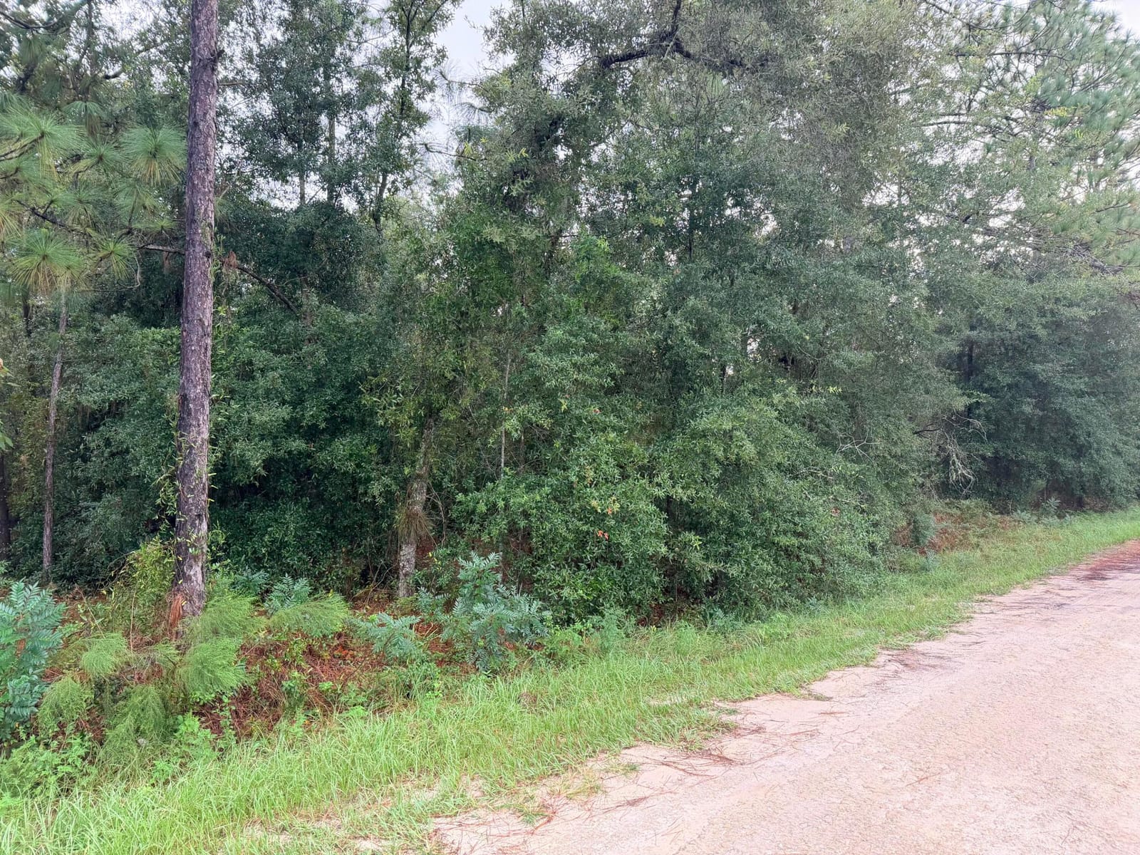 0 NO SITUS, Dunnellon, FL 34432 photo 7