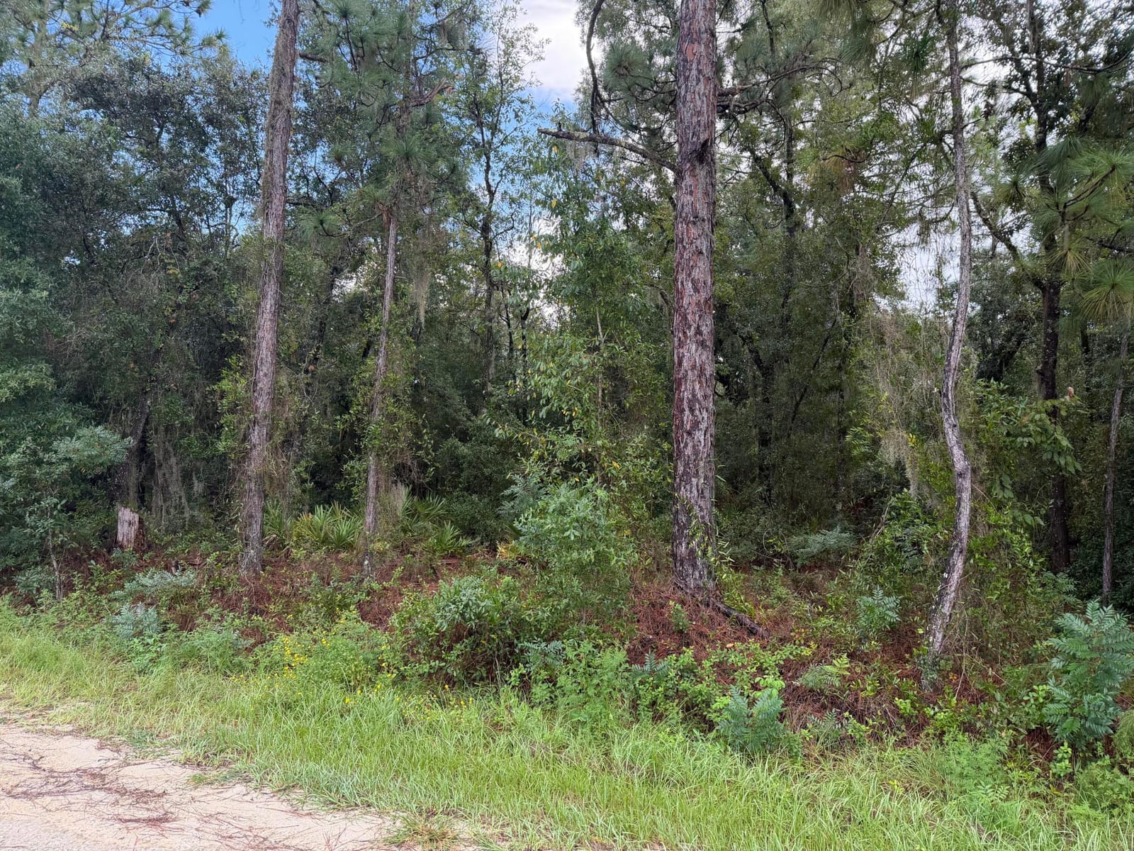 0 NO SITUS, Dunnellon, FL 34432 photo 8