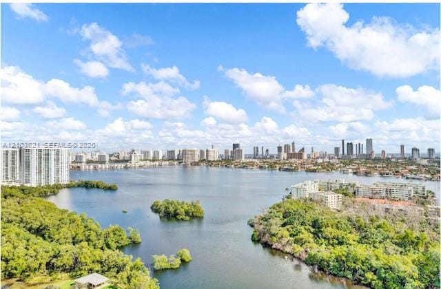 16385 Biscayne Boulevard 2302, North Miami Beach, FL 33160 photo 17