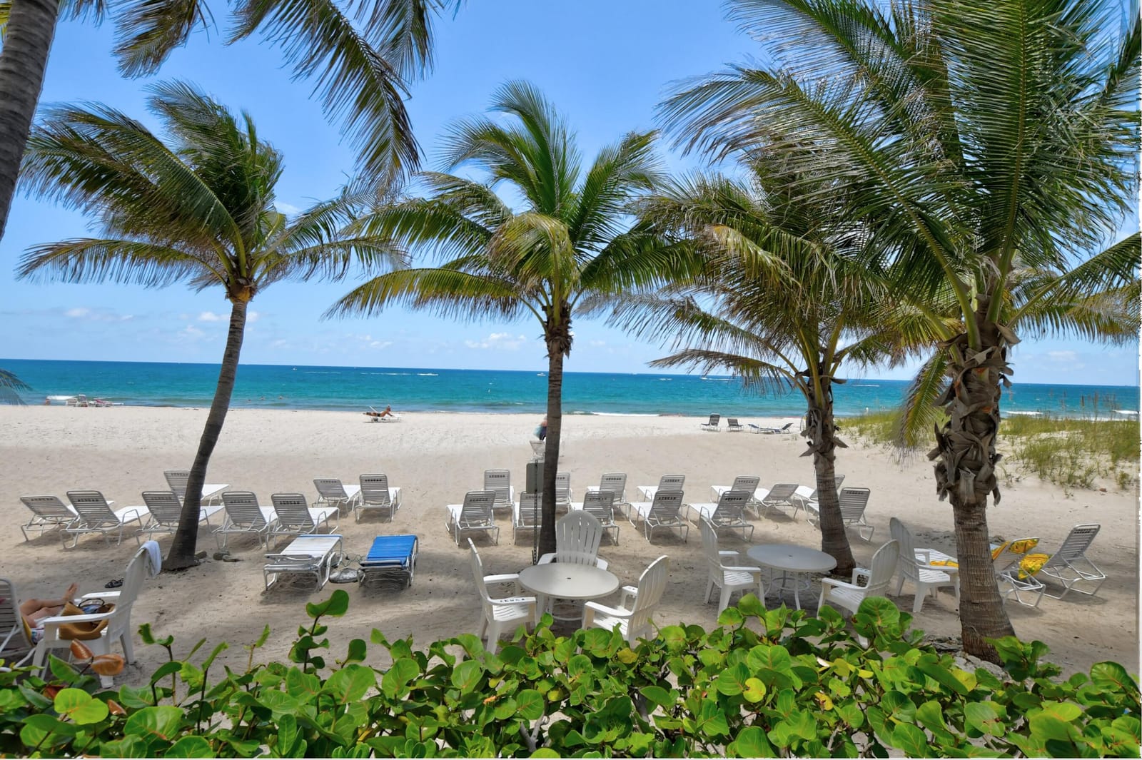 1010 S OCEAN Boulevard PH12, Pompano Beach, FL 33062 photo 1
