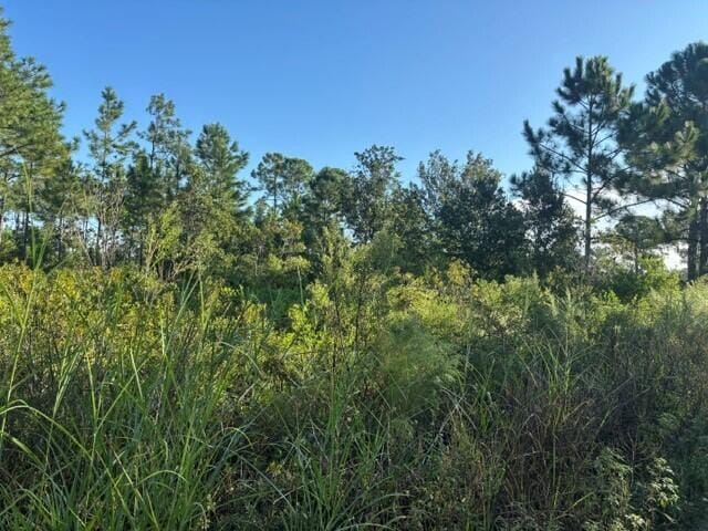 720 Parrot Avenue, Sebring, FL 33872 photo 1