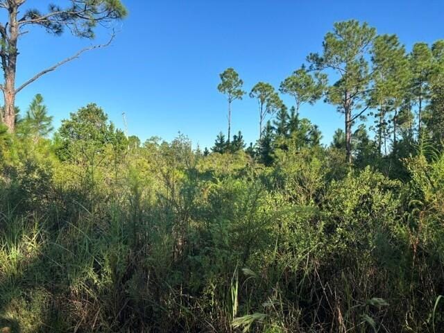 720 Parrot Avenue, Sebring, FL 33872 photo 2