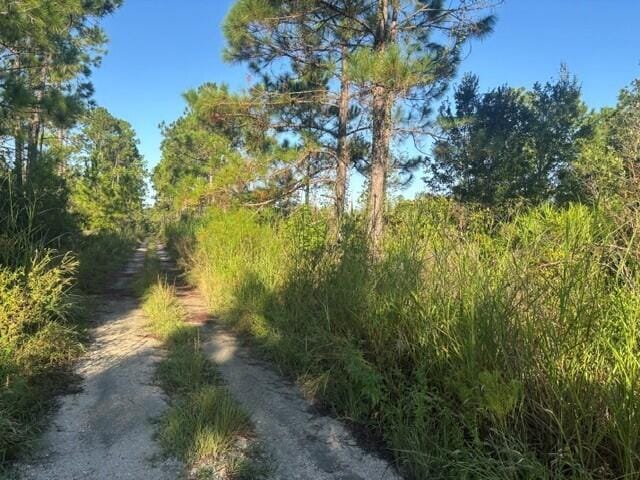 720 Parrot Avenue, Sebring, FL 33872 photo 3