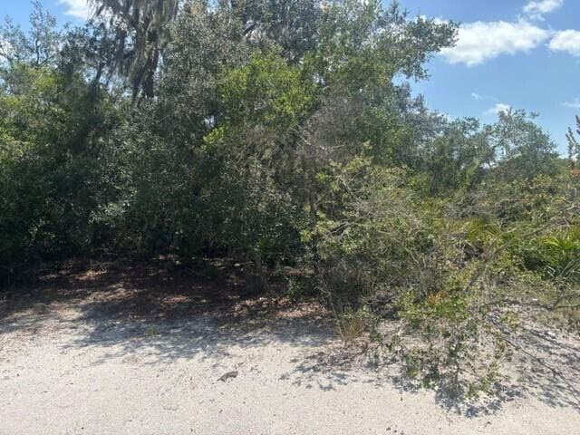 0 Holopaw Groves Road, St. Cloud, FL 34772