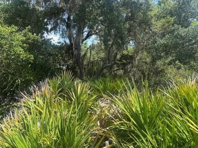 0 Holopaw Groves Road, St. Cloud, FL 34772 photo 3