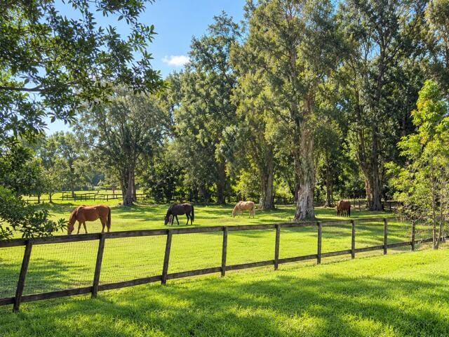18900 SW 59th Street, Southwest Ranches, FL 33332 photo 6