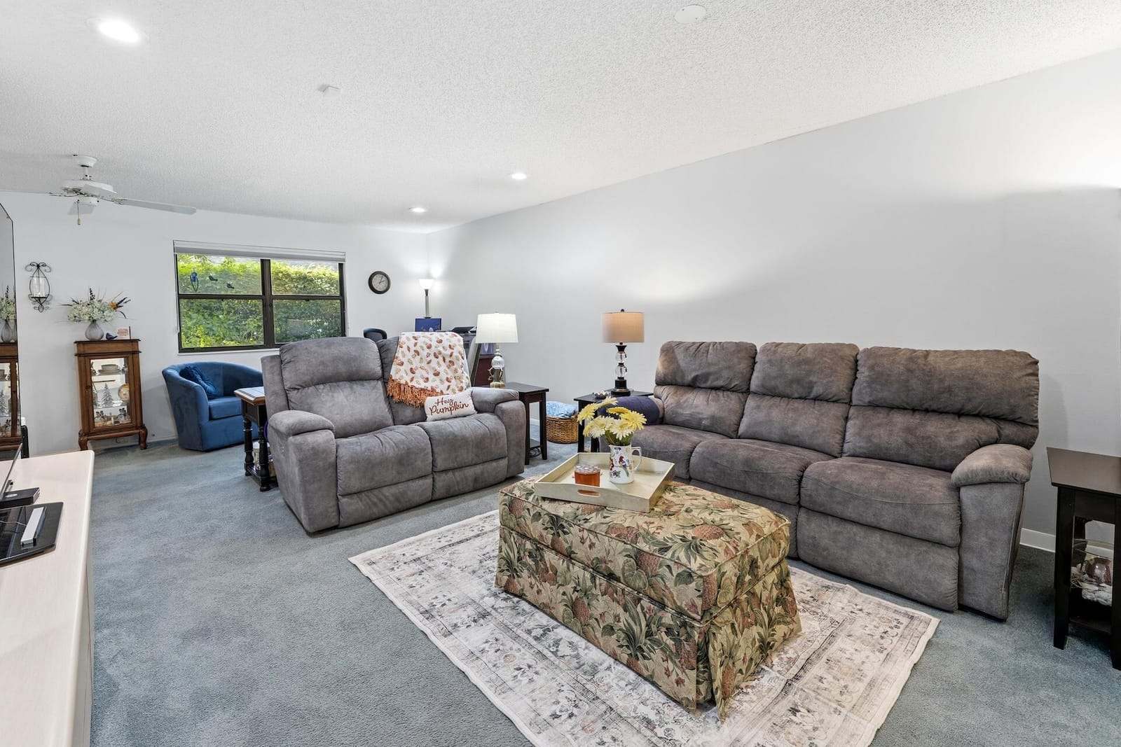 259 DEERFIELD Court — photo 4