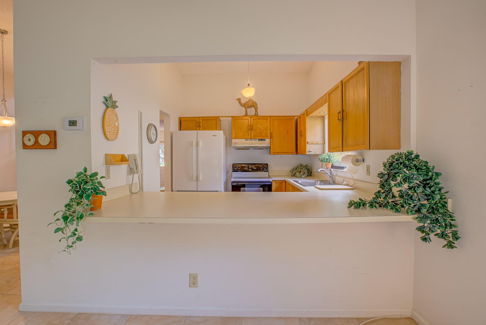 1092 Raintree Court — photo 12