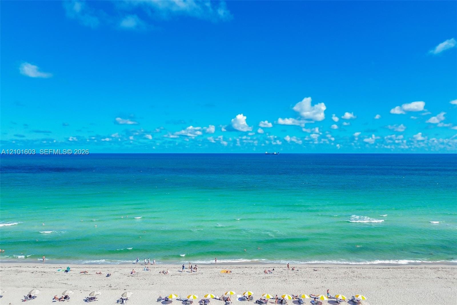 100 Lincoln Road 502, Miami Beach, FL 33139 photo 5