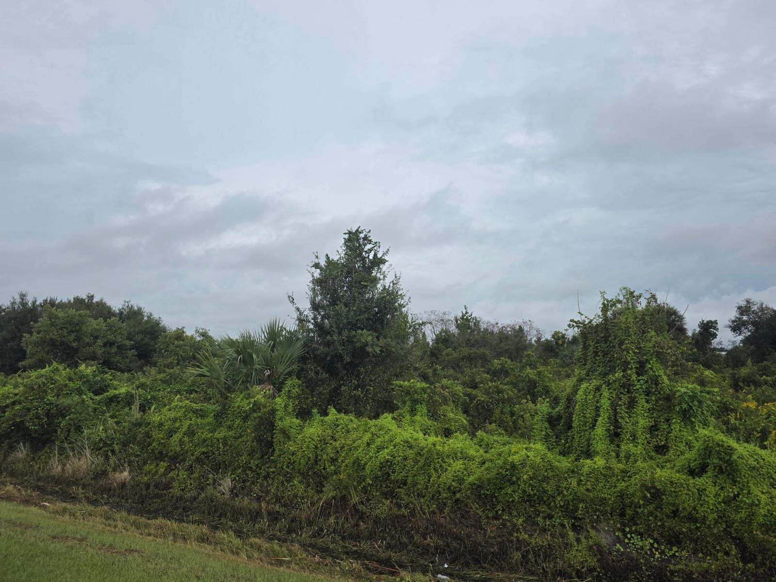 14977 NW 244TH Street, Okeechobee, FL 34972 photo 2