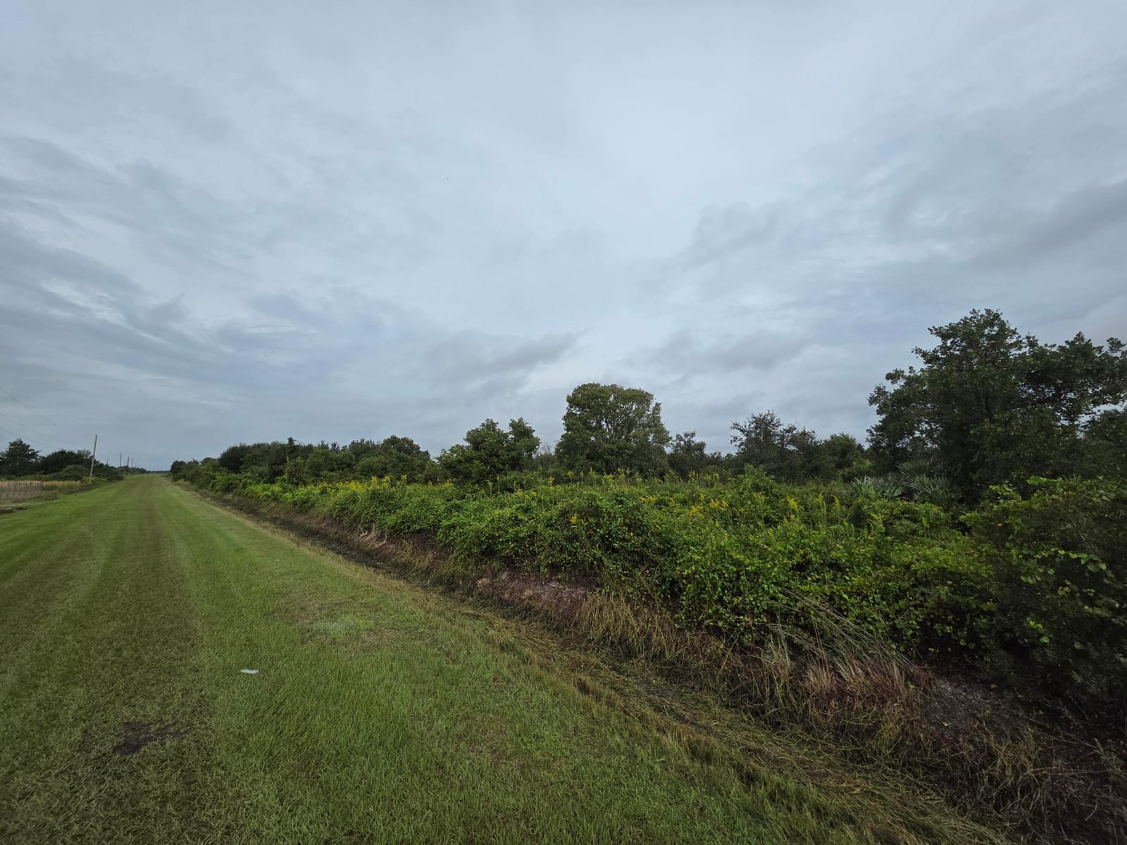 14977 NW 244TH Street, Okeechobee, FL 34972 photo 5