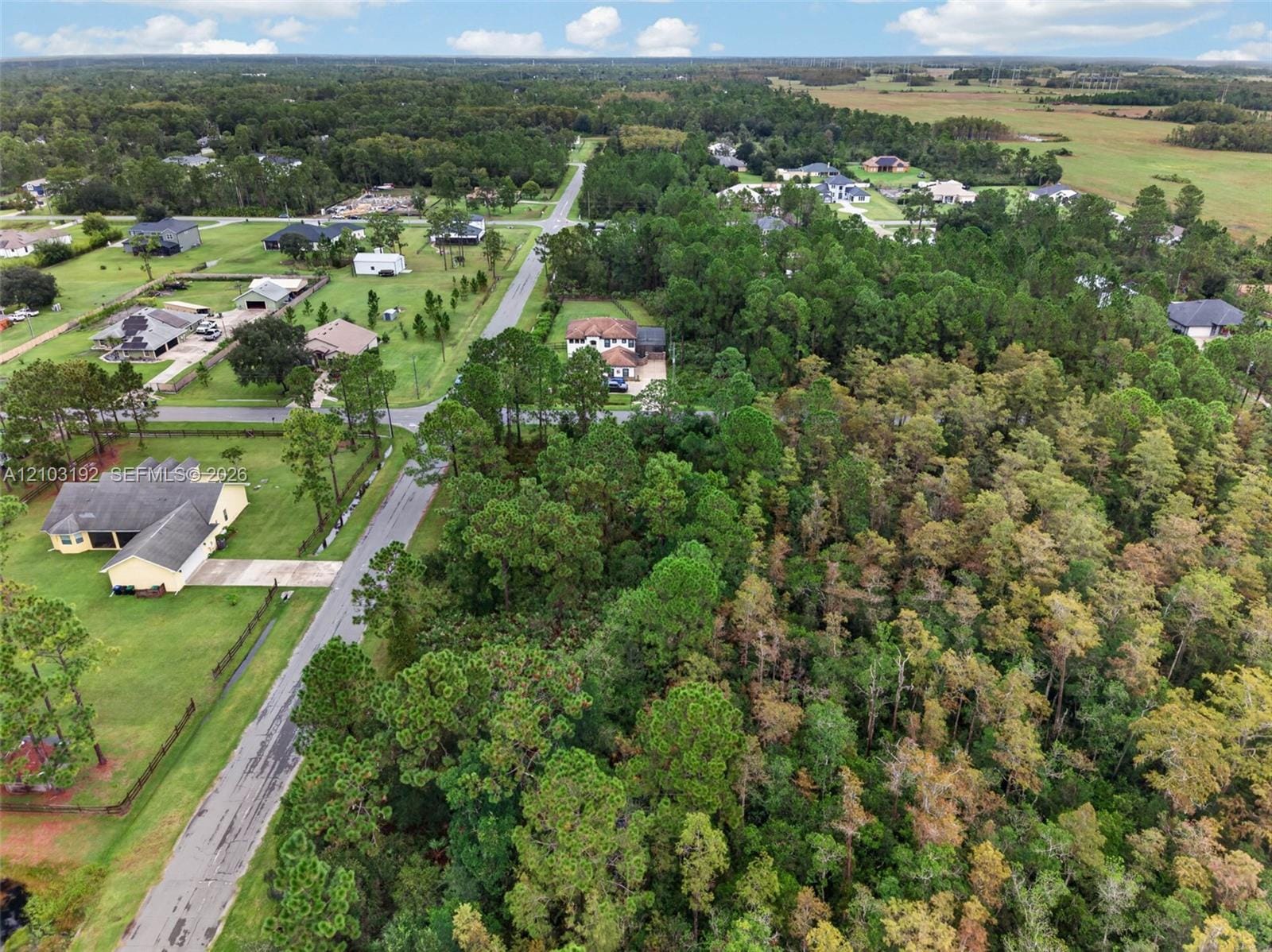 Quinlan Street, Orlando, FL 32833 photo 8