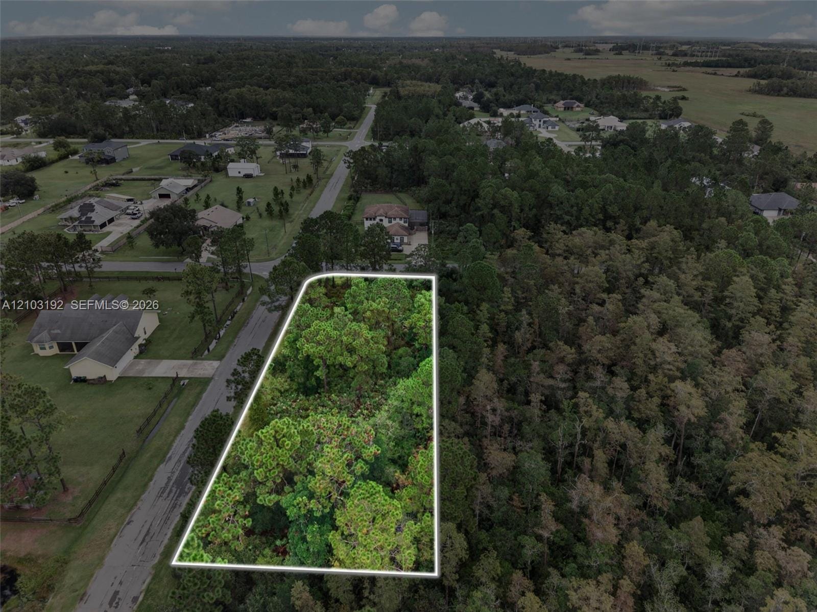 Quinlan Street, Orlando, FL 32833 photo 9