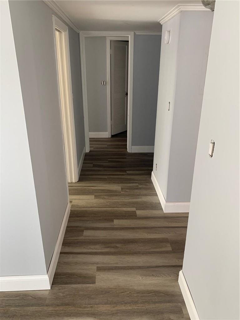 3031 N OCEAN Boulevard 502, Fort Lauderdale, FL 33308 photo 15