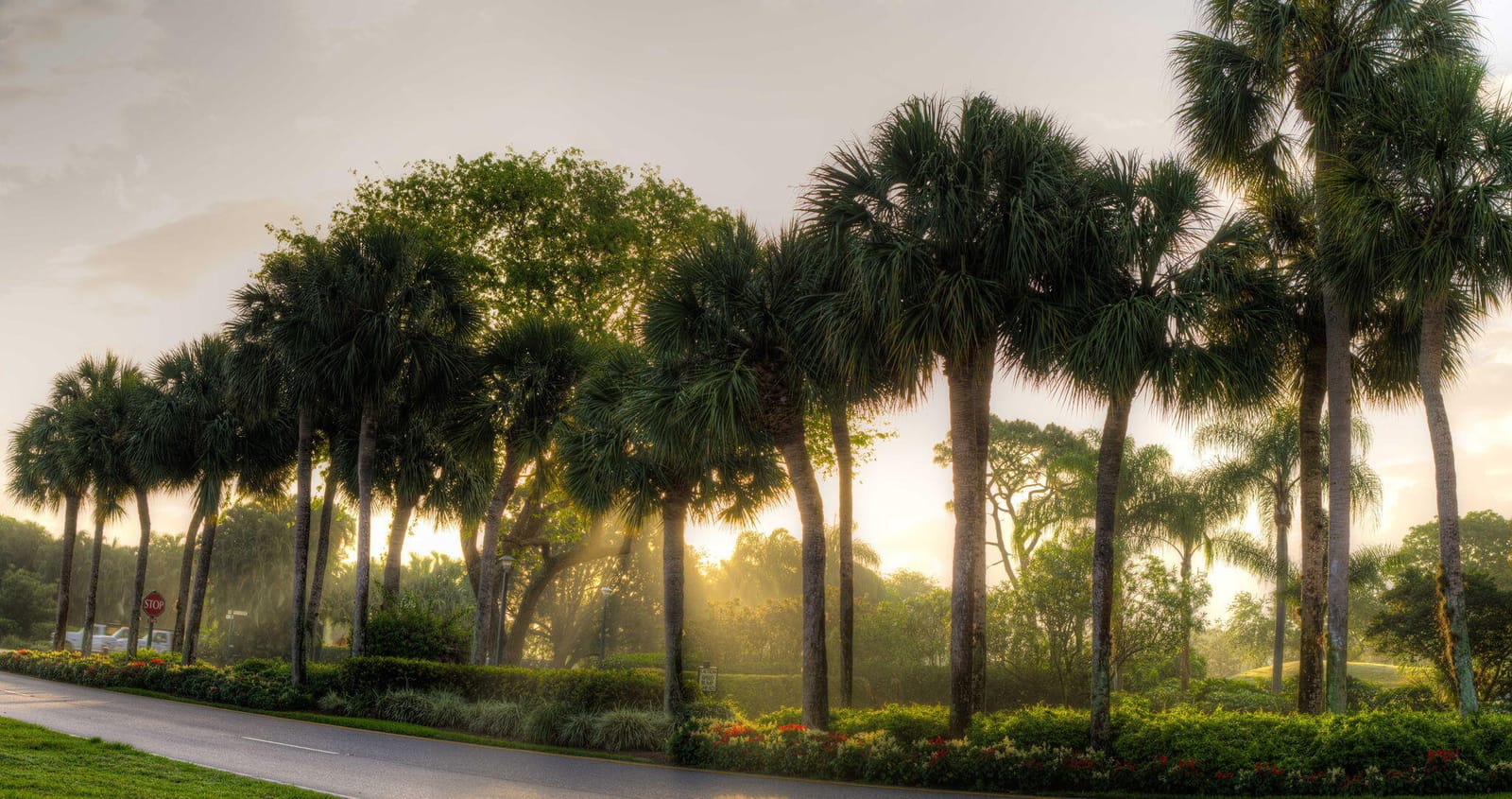 19341 Sabal Lake Drive 5042, Boca Raton, FL 33434 photo 30