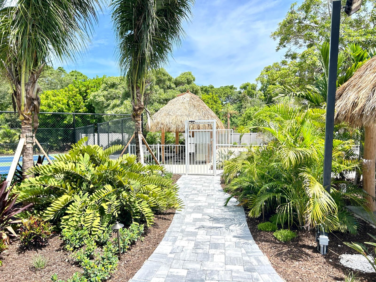 1316 W BOUGAINVILLEA Drive — photo 6