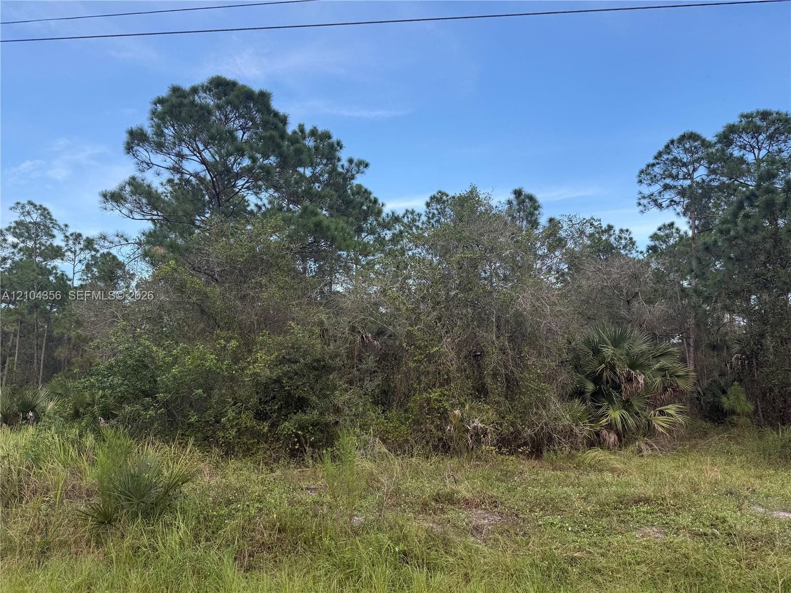 835 S Jasmine Street — photo 2