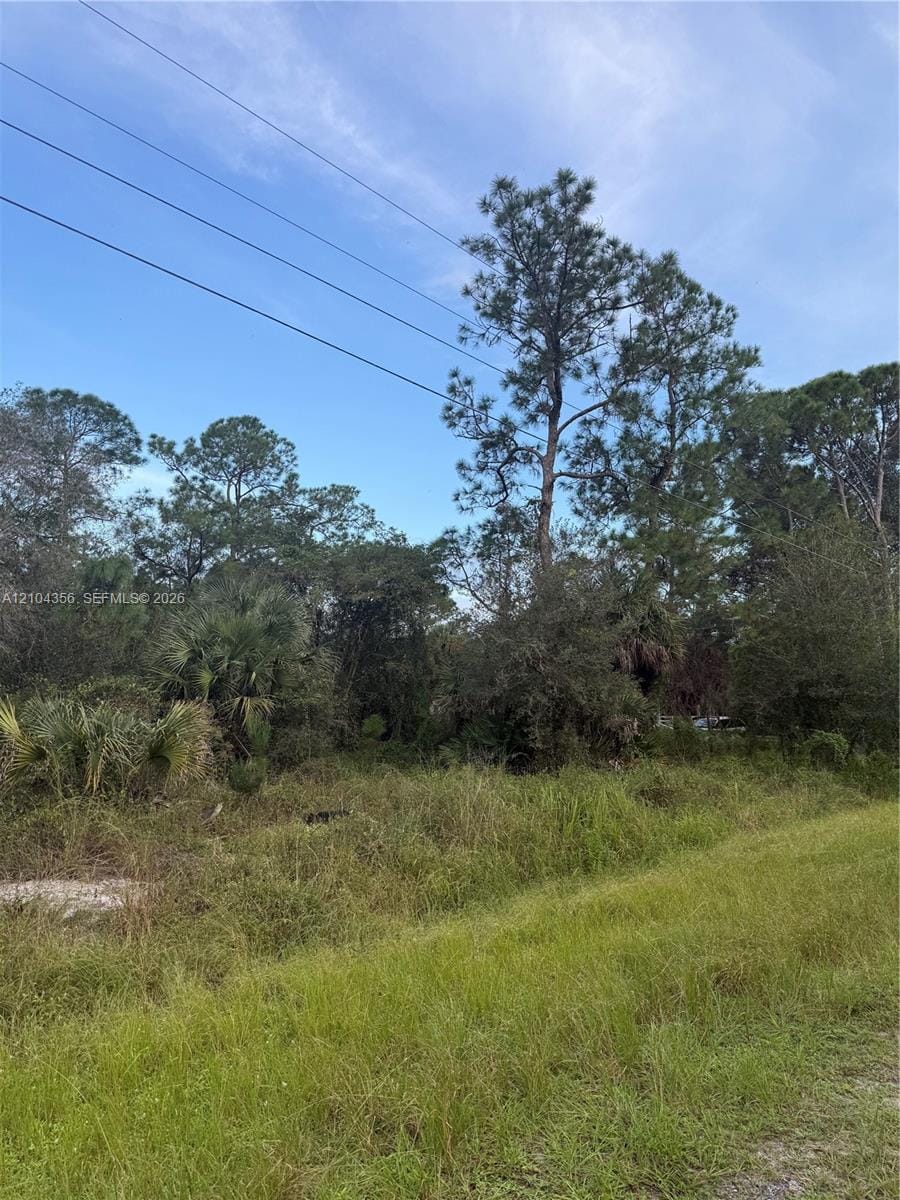 835 S Jasmine Street, Clewiston, FL 33440 photo 14