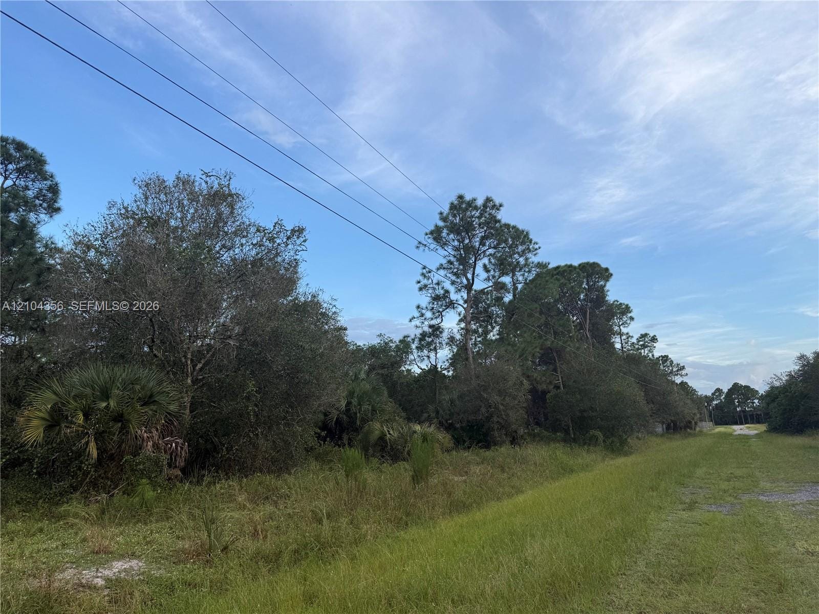 835 S Jasmine Street — photo 4