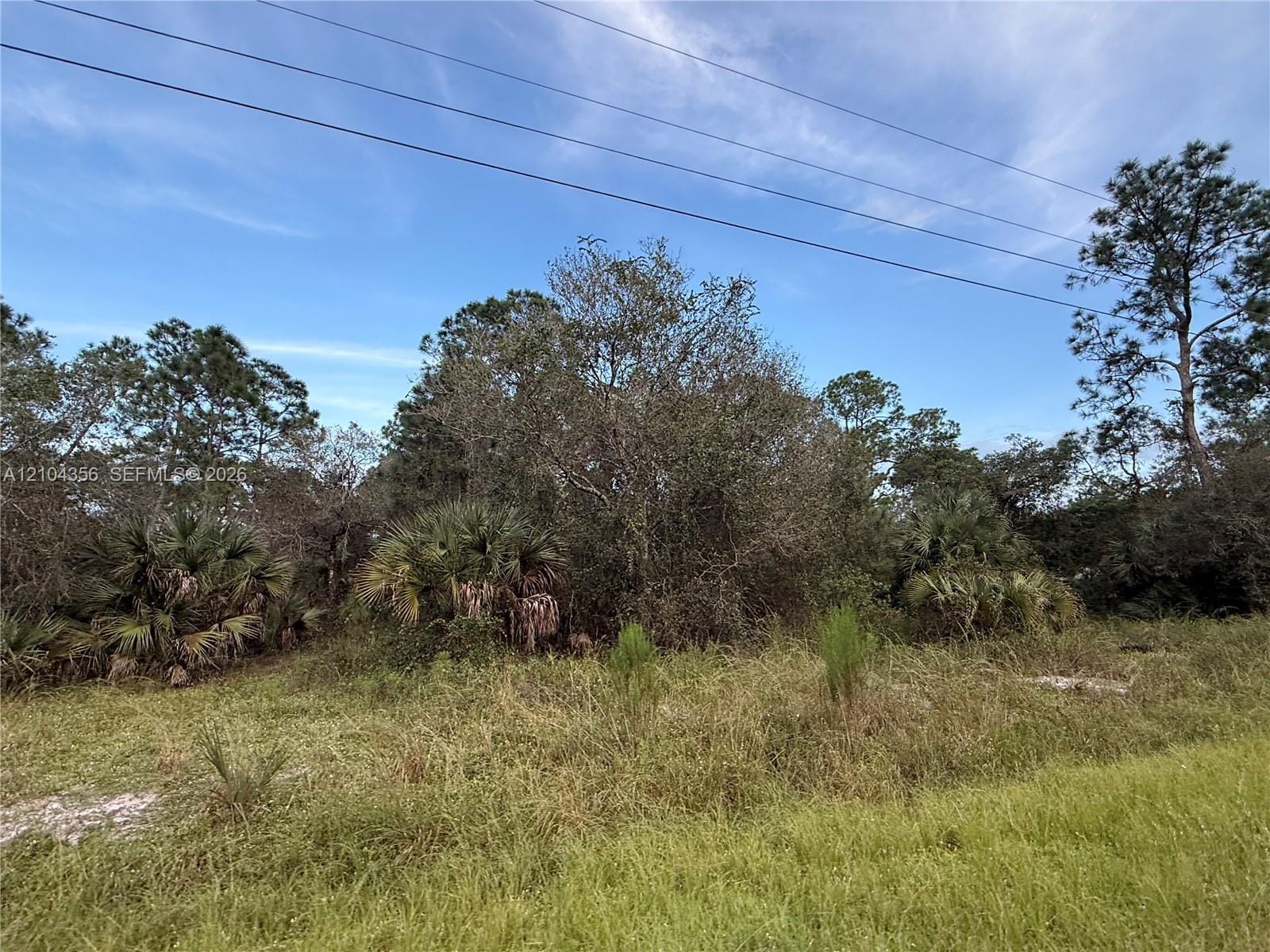 835 S Jasmine Street — photo 8