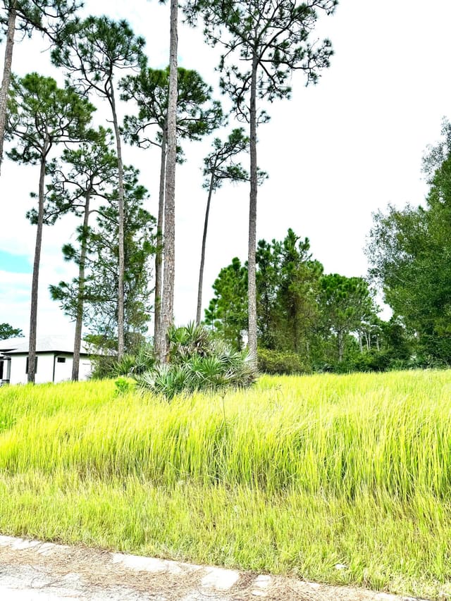 10615 Sugar Pine Drive, Pine Hollow Units Tree Four, Fort Pierce, FL