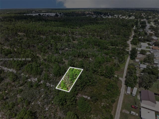 411 Scaup Avenue, Sebring, FL 33872