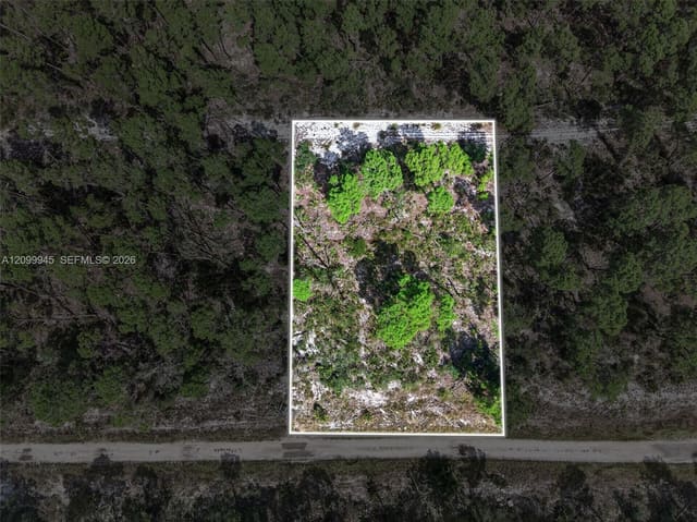 431 Hummingbird Avenue, Sebring, FL 33872