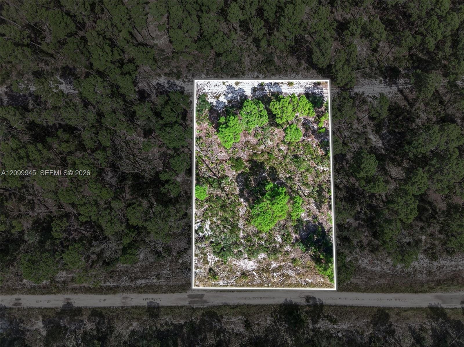 431 Hummingbird Avenue, Sebring, FL 33872