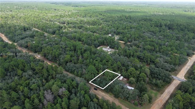 604 Del Monaco Avenue, Interlachen Lakes Estates, Interlachen, FL