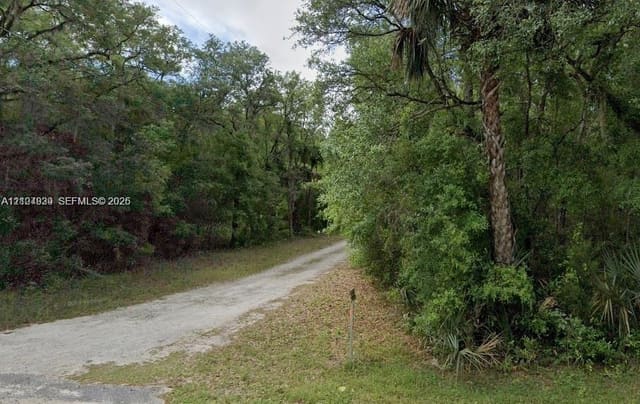 Lots 34 & 59 NE Lots 34 & 59 138th Court, FL 32134
