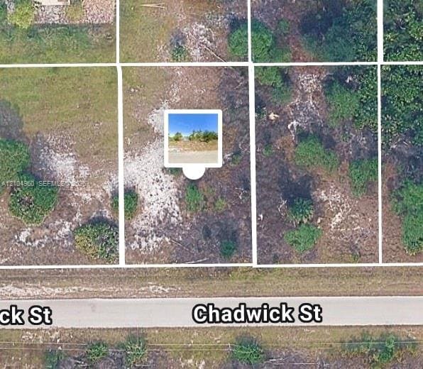 ?1043 Chadwick Street, Lehigh Acres, FL 33974