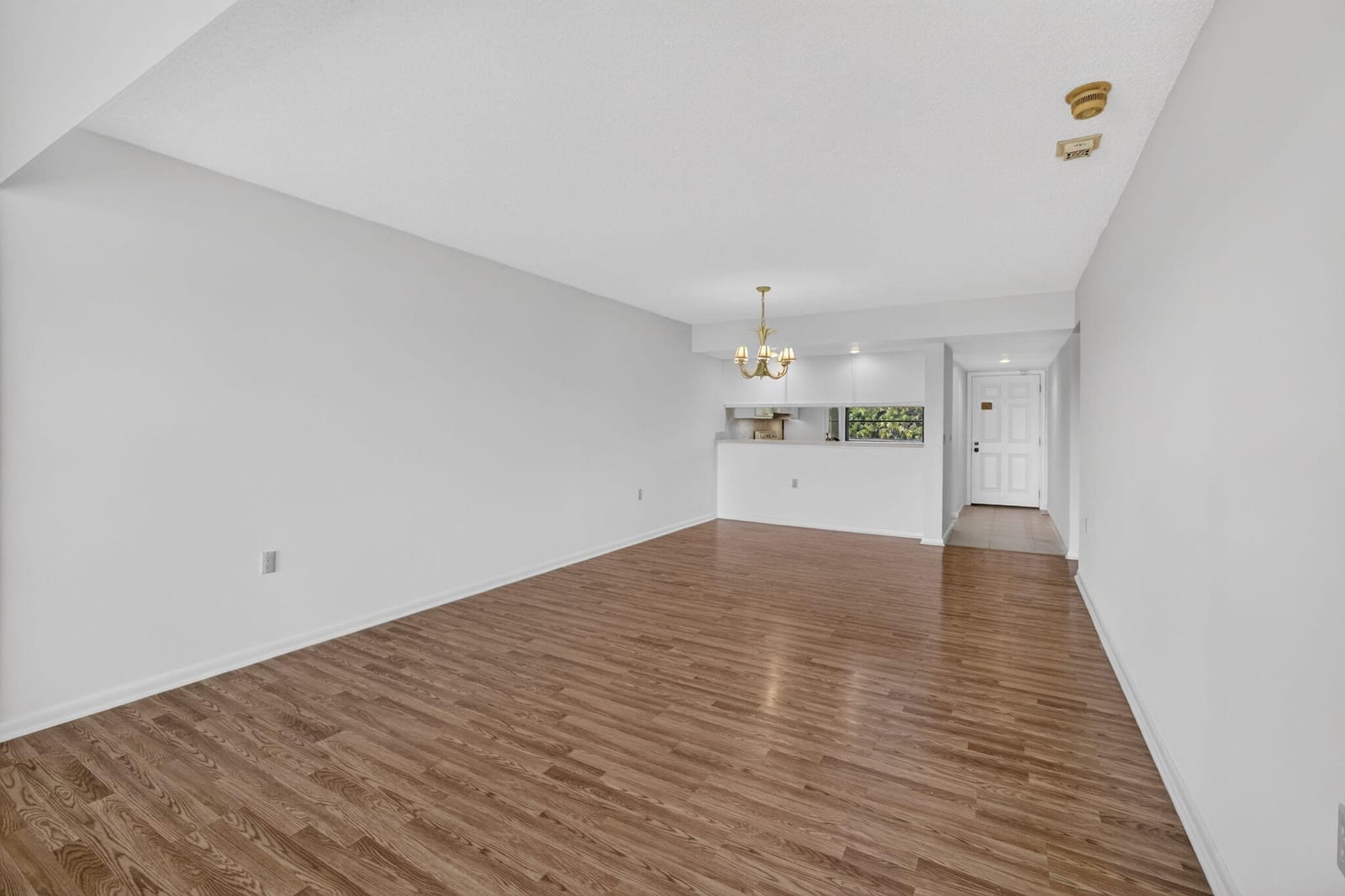 3710 WHITEHALL Drive 401 — photo 11