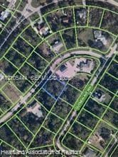 110 Ellison Avenue, Lake Placid, FL 33852