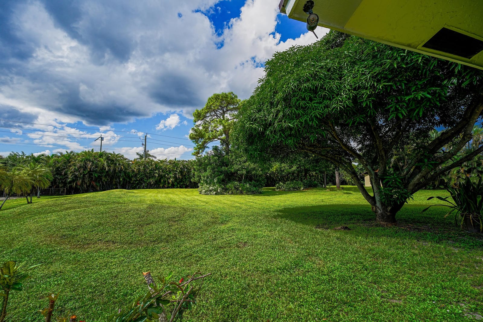 4971 Palm Hill Drive — photo 6