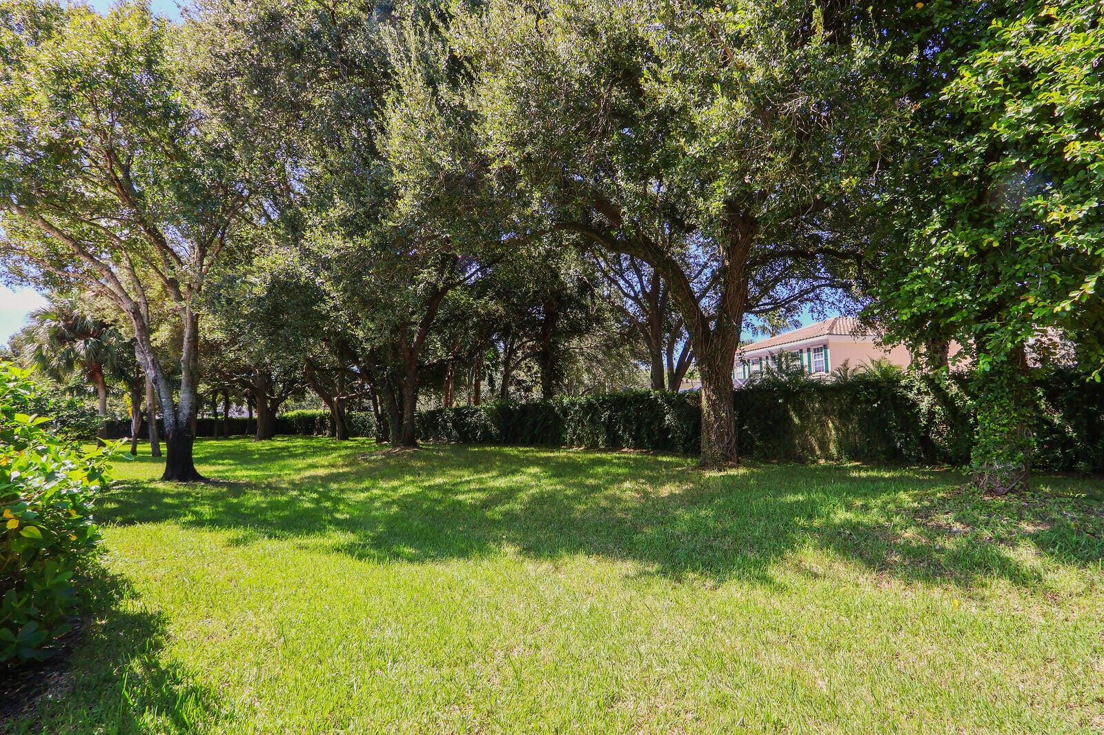 8701 CHAPMAN OAK Court — photo 4