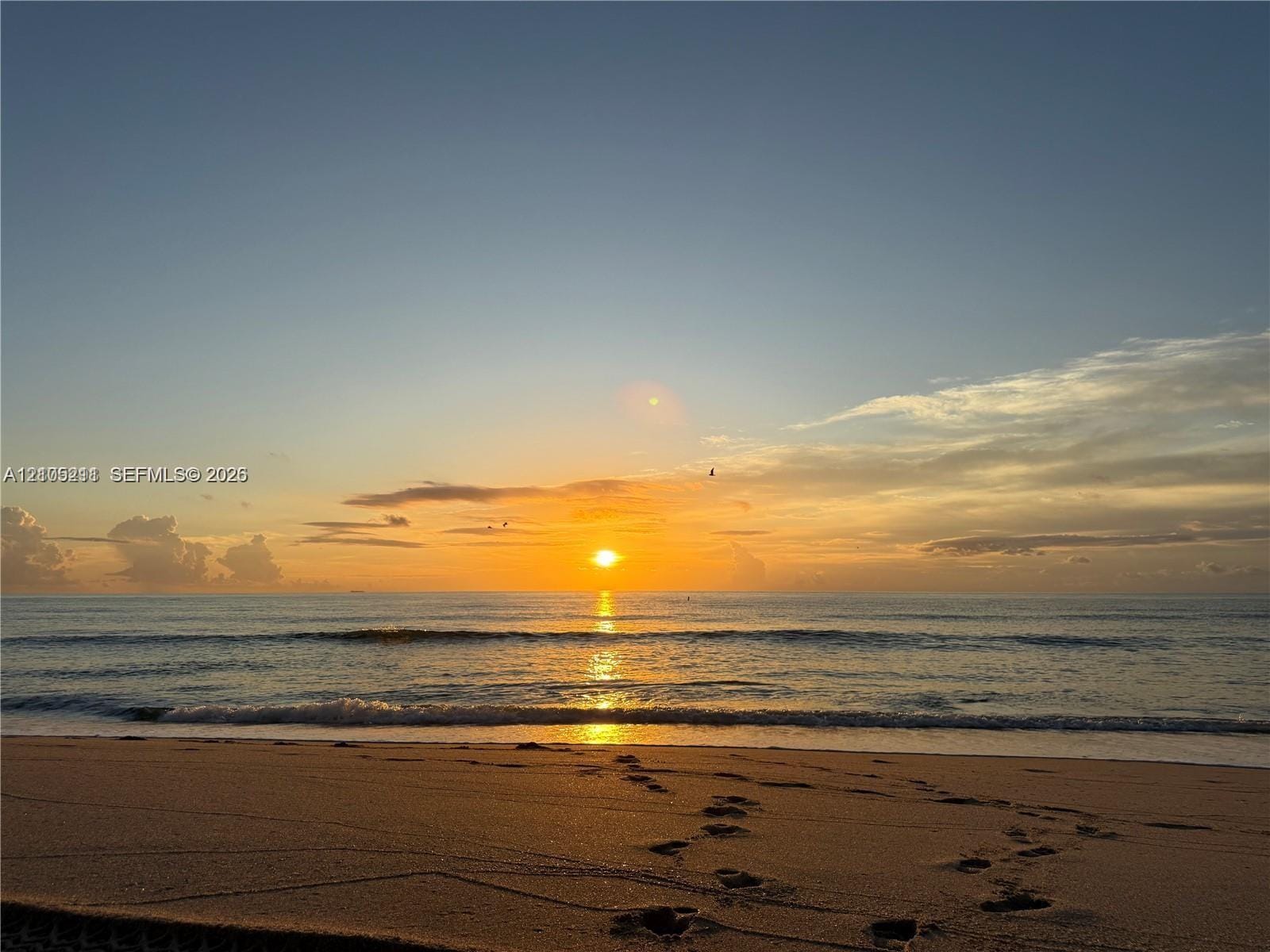 1801 S Ocean Drive 243, Hallandale Beach, FL 33009