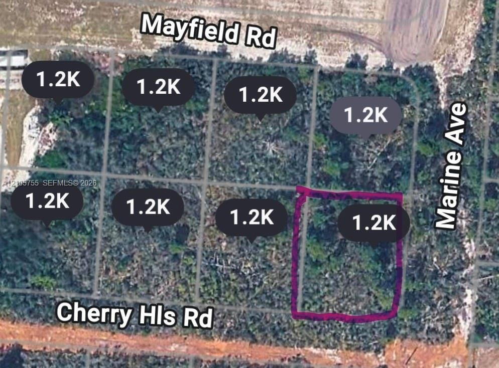 25139 Marine Avenue, Sebring, FL 33875