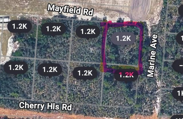 25153 Marine Avenue, Sebring, FL 33875