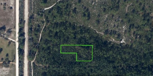 733 Franklin Street, Lake Placid, FL 33852