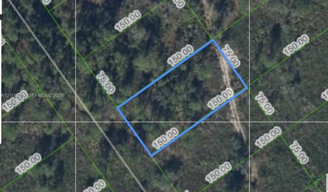 562 Kennedy Street, Lake Placid, FL 33852