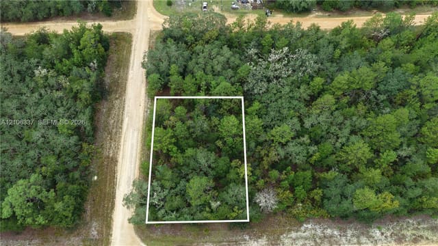 N/A N/a Selma Avenue, FL 32148